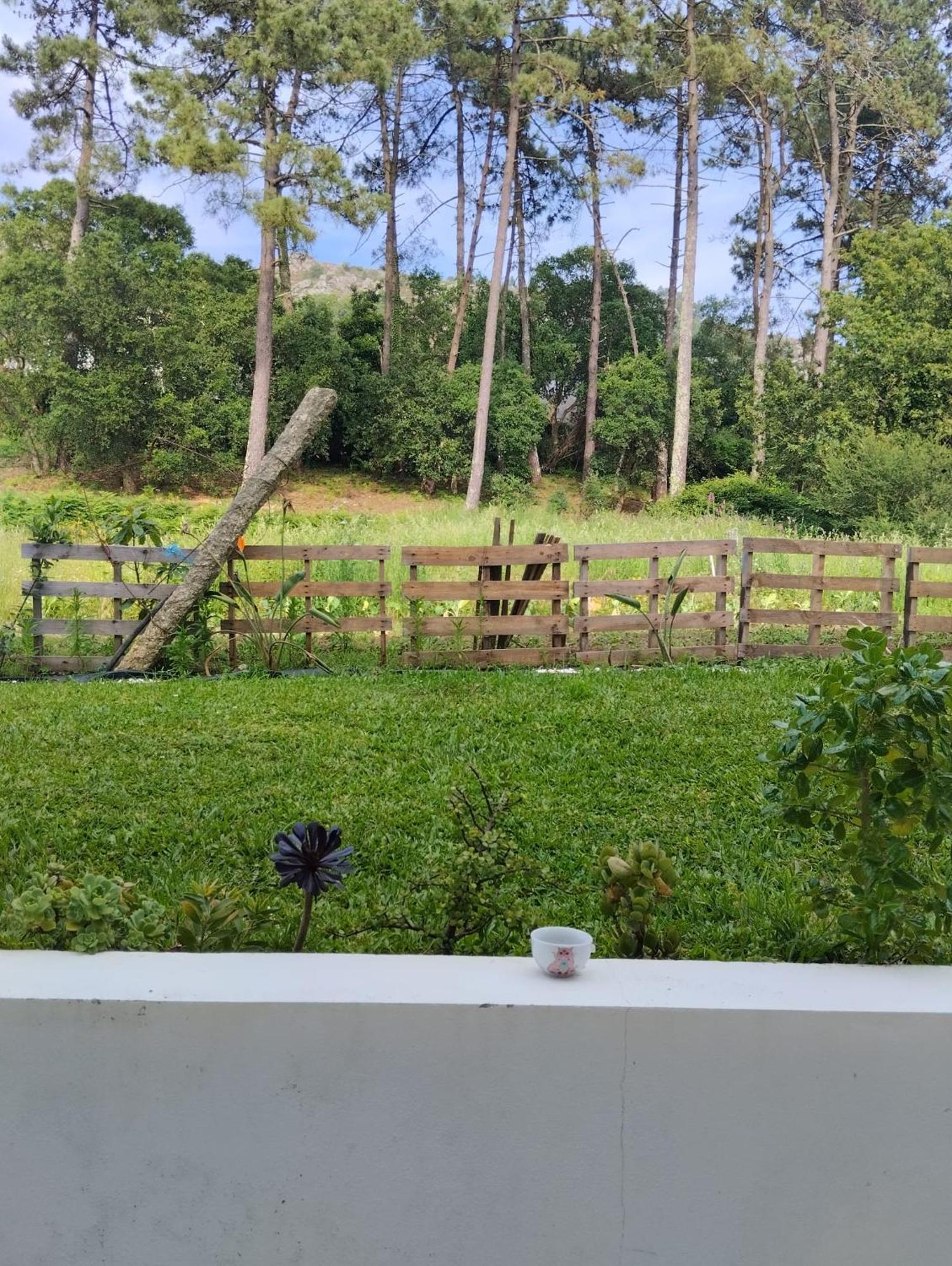 Apartament Casa Do Passal Belinho Zewnętrze zdjęcie